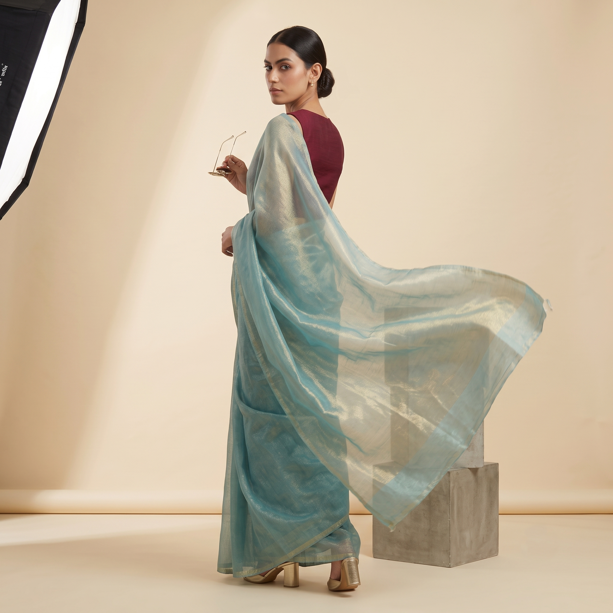 Tissue Oraganza Saree in Light Blue